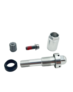 Box of 10, TPMS Service Kit - Replacement aluminum silver clamp-in valve for Tesla OEM sensor