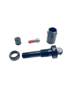 Box of 10 - TPMS Service Kit - Replacement Black aluminum clamp-in valve for Tesla OEM sensor